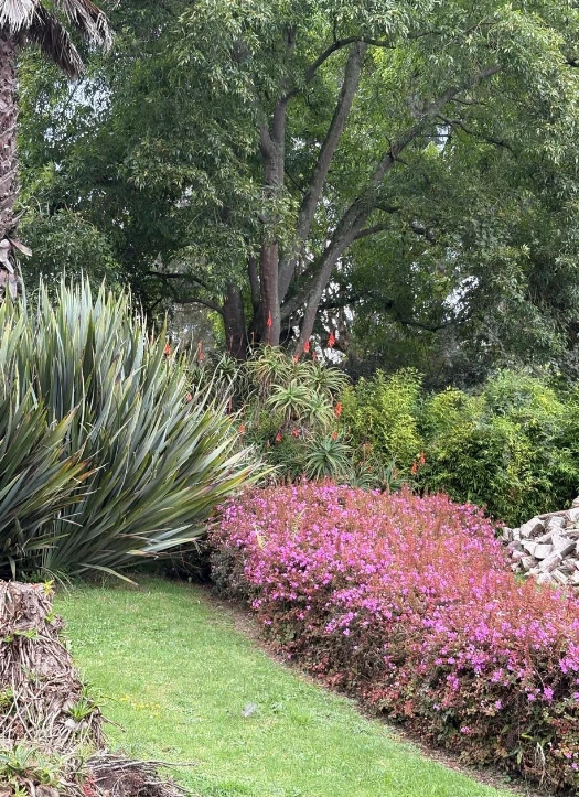 Enmascarar grupo 624