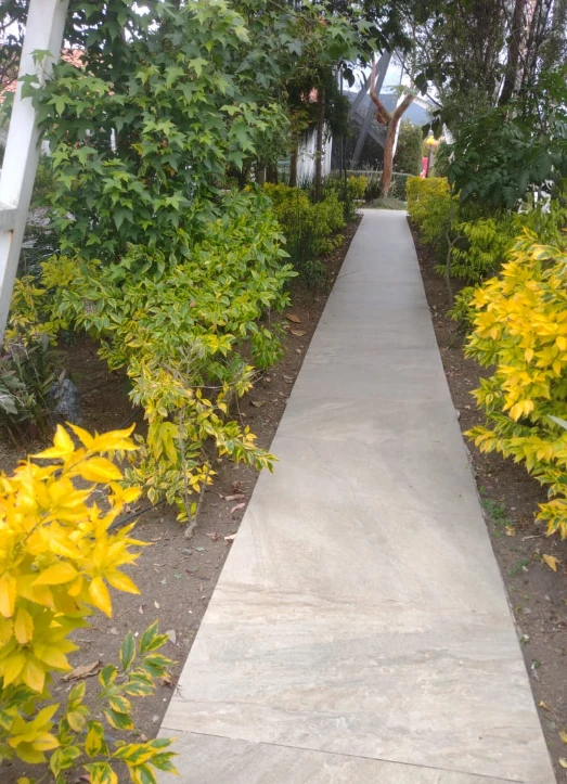 Enmascarar grupo 627