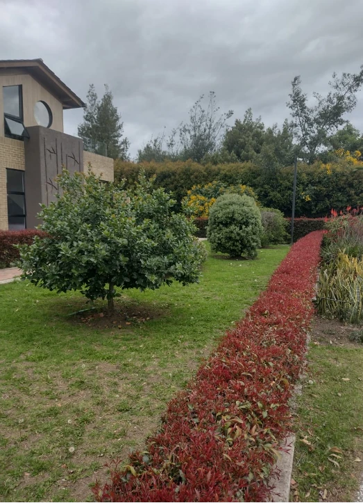 Enmascarar grupo 629