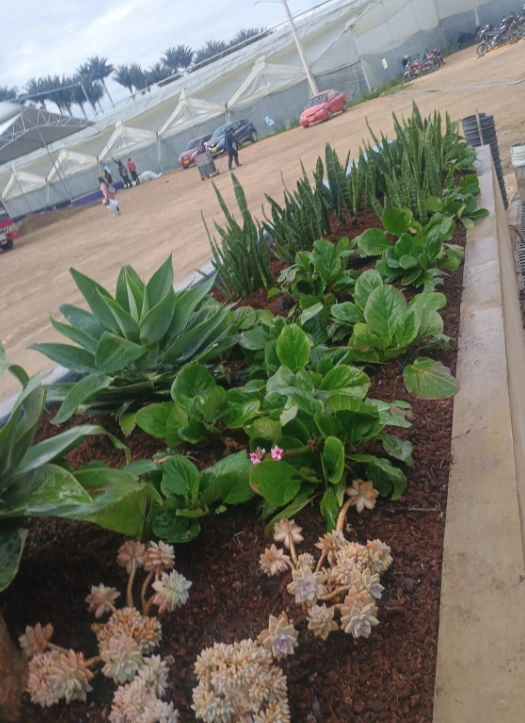 Enmascarar grupo 630