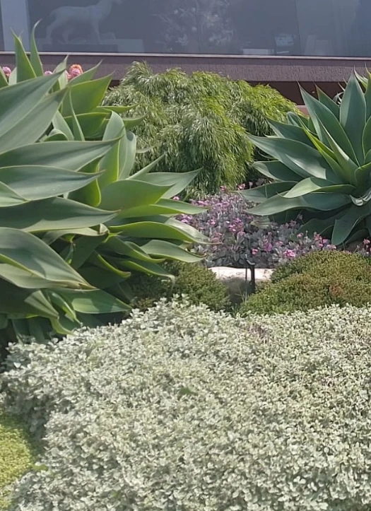 Enmascarar grupo 631