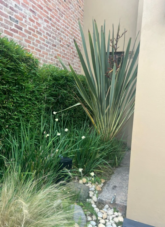 Enmascarar grupo 633